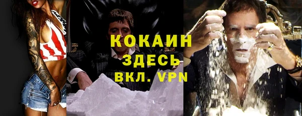 спиды Верея