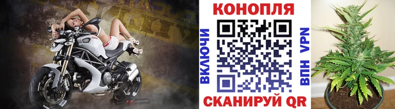 Конопля индика  Хабаровск 